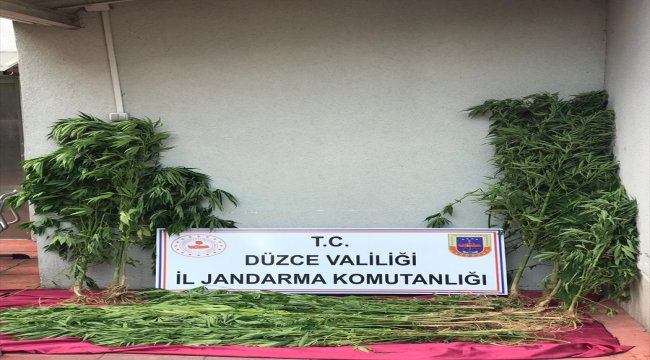 Düzce'de uyuşturucu operasyonları
