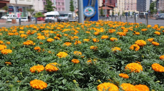 Ereğli Belediyesi'nin çalışmaları