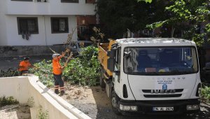 Eyüpsultan mahallelerinde fiziki tarama çalışmaları