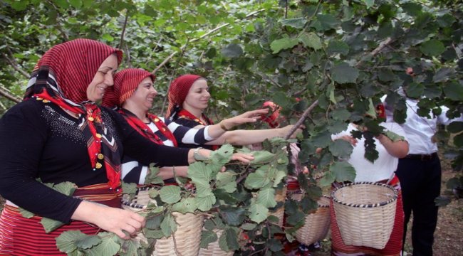 Samsun'da trafik kazası: 4 yaralı