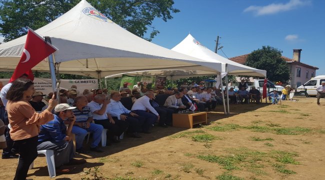 GÜBRETAŞ, Samsun'daki uygulamayla fındıkta rekor sonuca ulaştı