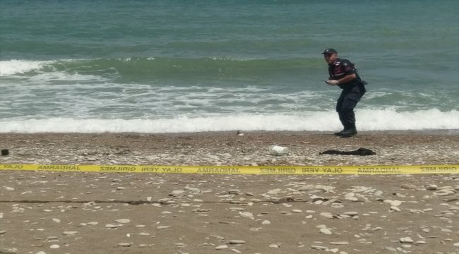GÜNCELLEME - Karadeniz sahilinde deniz mayını tetikleyicisi bulundu