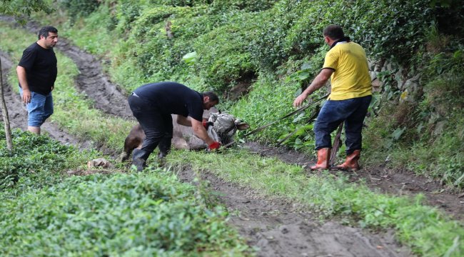 Kaçan boğa sahiplerine zor anlar yaşattı