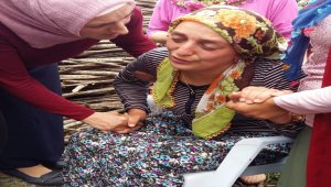 Küçük çocuğun organı umut oldu