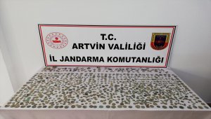 Makarna kolisinde tarihi eser kaçakçılığı
