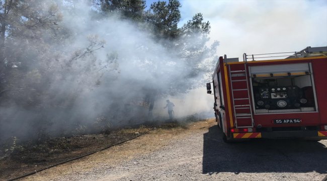 Piknikçilerin neden olduğu yangın söndürüldü