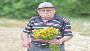 Safranbolu'da 