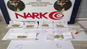 Sinop'ta uyuşturucu operasyonu: 2 tutuklama