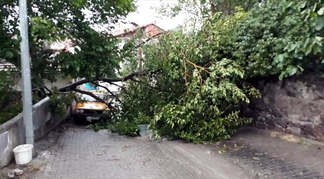 Tokat'ta kuvvetli rüzgar etkili oldu