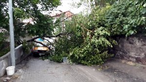 Tokat'ta kuvvetli rüzgar etkili oldu