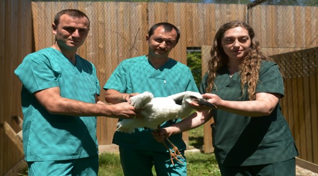 Yaban hayvanları rehabilitasyon merkezinde tedavi ediliyor