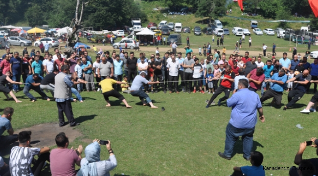 Yenice 6. Göktepe Şenliği