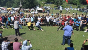 Yenice 6. Göktepe Şenliği