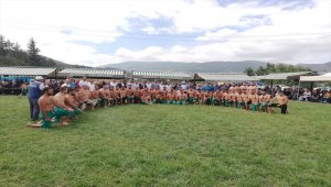 Almus'ta karakucak güreşleri yapıldı