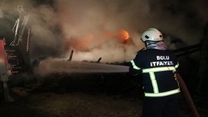 Bolu'da odunluk ve balya yangını