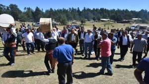 Boyabat'ta 15. Gündüzlüler Yayla Şenliği düzenlendi