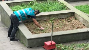 Denetimli Serbestlik Temiz Çevre Projesi