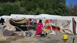Ekmek parası için yüzlerce kilometre uzaktan geldiler