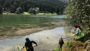 Gölcük Tabiat Parkı'nda temizlik
