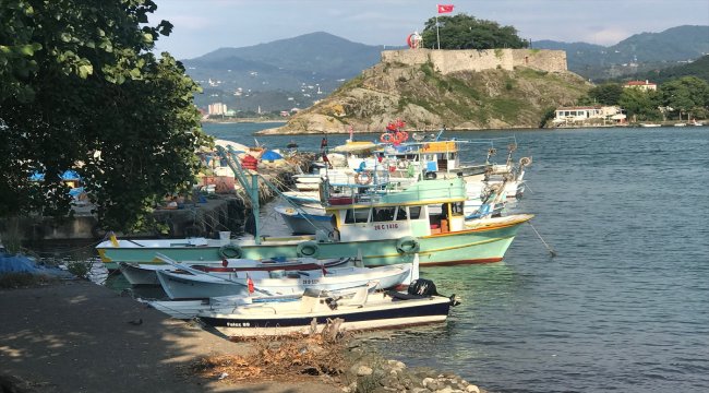 Karadenizli balıkçı palamuttan umutlu değil