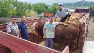 Kurban Bayramı'na doğru