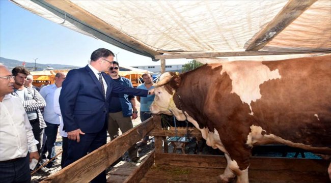 Kurban Bayramı'na doğru