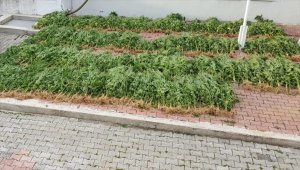 Samsun'da uyuşturucu operasyonu