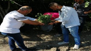 Sinop’ta 179 kök Hint keneviri ele geçirildi