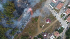 Sinop'ta orman yangını