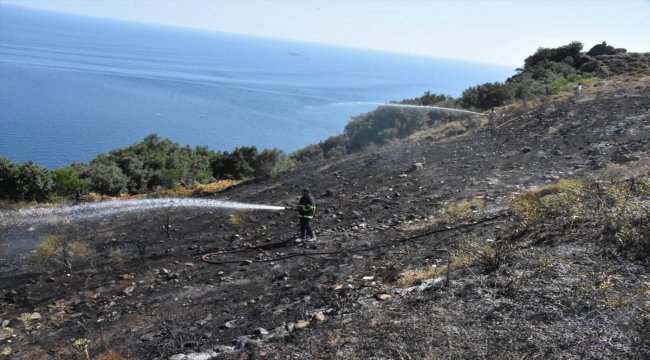 Sinop'ta örtü yangını