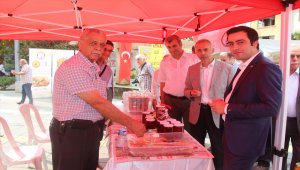 Taşova'da 2. Bal Fuarı