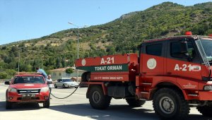 Tokat'ta çıkan orman yangını büyümeden söndürüldü
