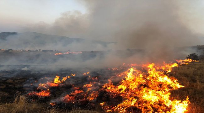 Tokat'ta tarla yangını