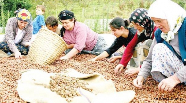 Türkiye, fındıktan hak ettiğini kazanıyor mu?