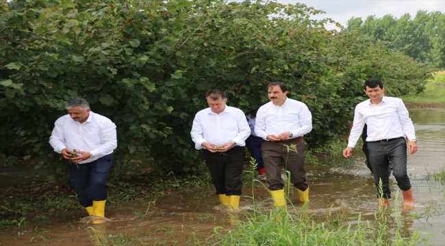 TZOB'dan Samsun'da selin etkilediği tarım alanlarında inceleme