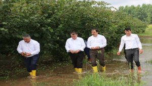 TZOB'dan Samsun'da selin etkilediği tarım alanlarında inceleme