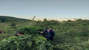 Zonguldak'ta uyuşturucu operasyonu