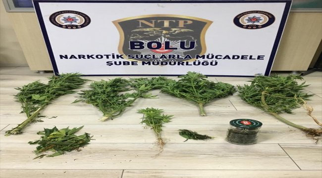 Bolu'da uyuşturucu operasyonu