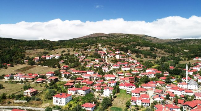 Karadeniz'in doğasını ve mimarisini koruyan mahalle: Yeşilce