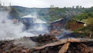 Ordu'da 4 ahşap ev yandı