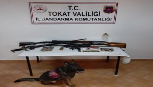 Tokat'ta silah kaçakçılığı operasyonu