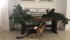 Zonguldak'ta uyuşturucu operasyonu