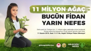 11 MİLYON AĞAÇ, BUGÜN FİDAN YARIN NEFES