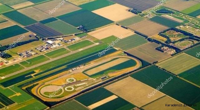 HOLLANDA tarım politikasından küçük bir kesit