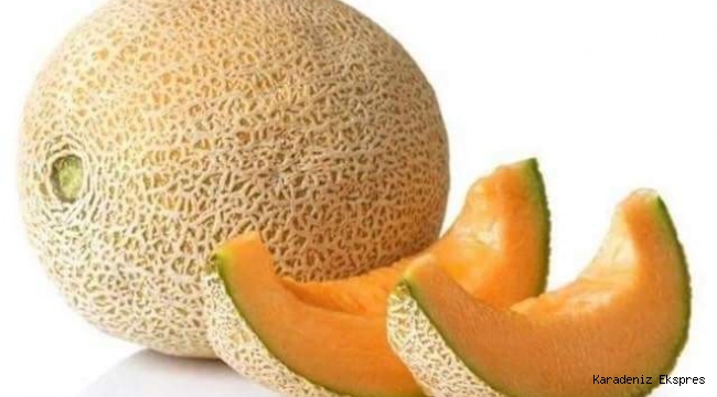 Kavun yetiştirme hayali
