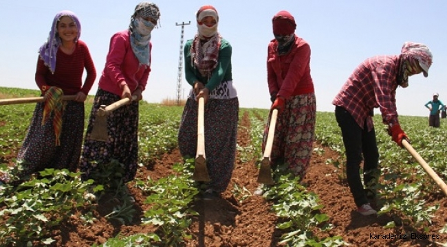 Kırsaldaki kadınlara bakanlık desteği