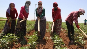 Kırsaldaki kadınlara bakanlık desteği