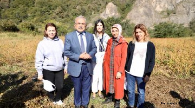 Ordu’da soya fasulyesi yetiştiriciliği denemeleri olumlu sonuç verdi