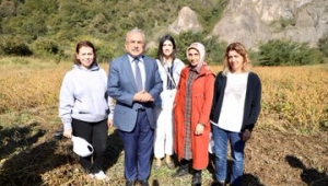 Ordu’da soya fasulyesi yetiştiriciliği denemeleri olumlu sonuç verdi