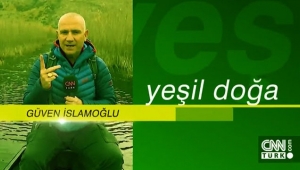 Asbest tehdidi ve kanser – Yeşil Doğa